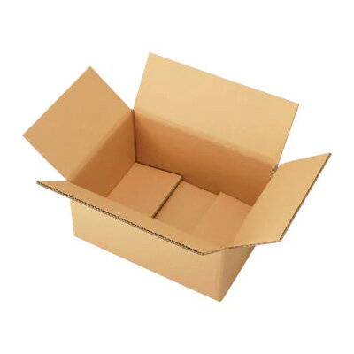 【50枚(10枚×5)】 発送資材 ヒラダン ダンボールS-1 JAN付 プロステ