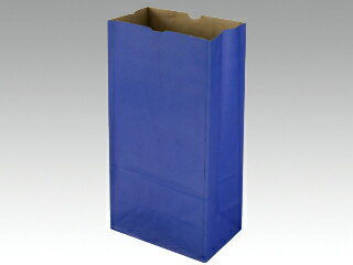 【1000枚(100枚×10)】 紙袋 パックタケヤマ 角底袋 ハイバッグ H6 マリン プロステ