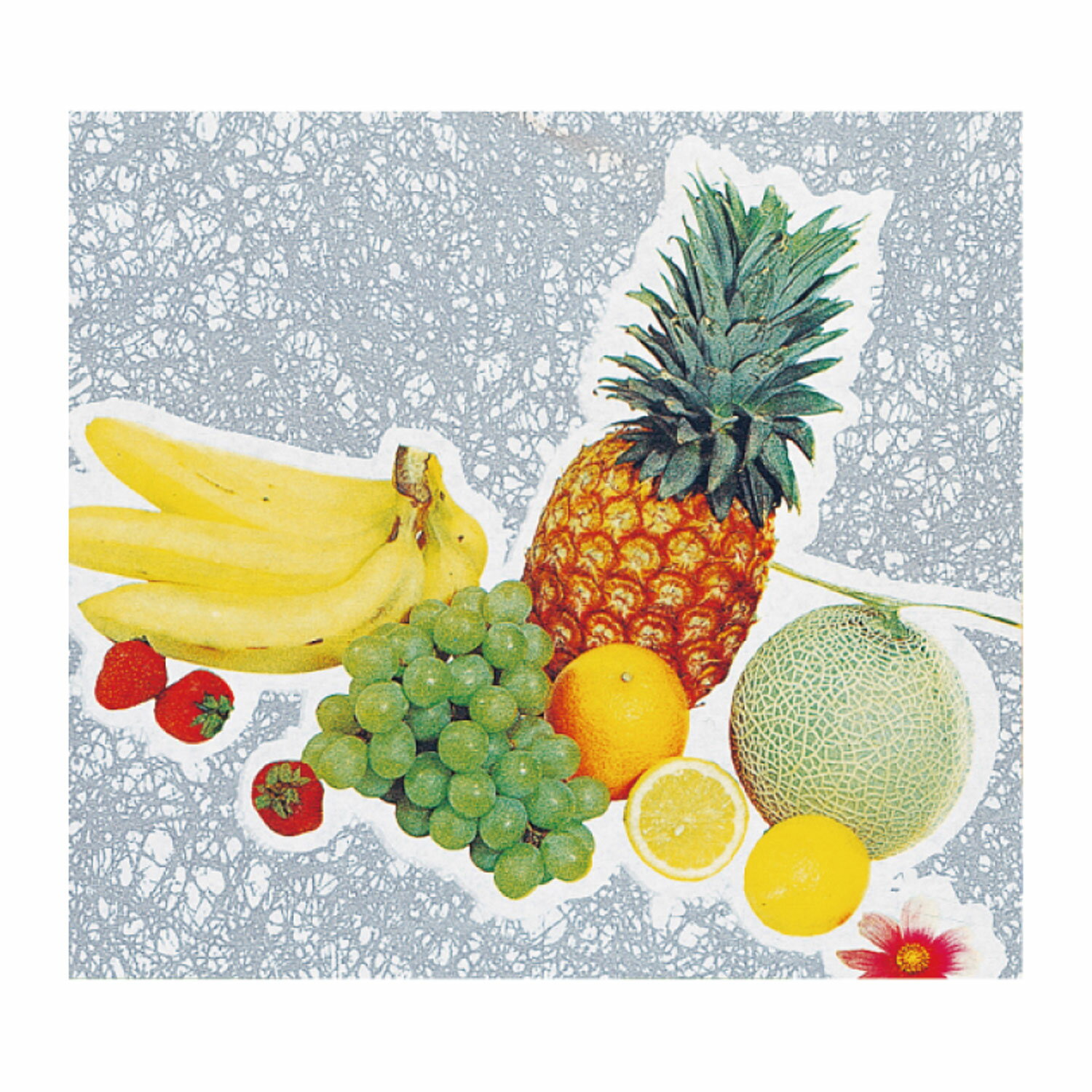 【500枚】560 包装紙 トップフルーツ 4/6半切 ベルベ 00672152 プロステ