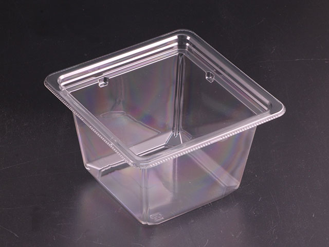 50ۥƴ å 塼13-80B  ꥹѥå 00251031