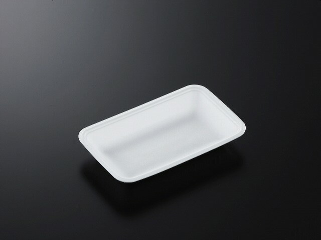 【100枚】 中央化学 トレーCN20-12F （L） プロステ