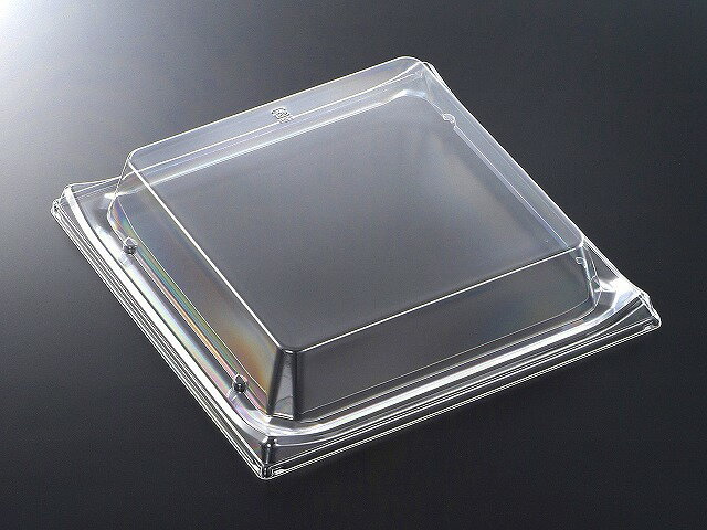 【100点】CT 波ね皿 24-24 蓋(CAPG) 00515185