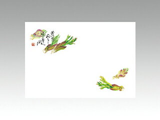 【100枚】テーブルマット 尺3寸 No.284 タラの芽 カミイソ産商 春(3月-5月) 大豆インキ使用 使い捨て ..