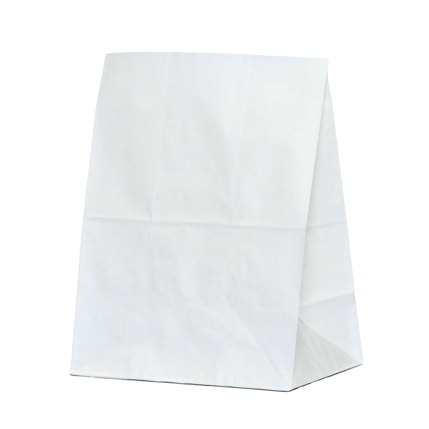 【1000枚入/ケース】 マチ付き袋 角底袋 ハイバッグ H500 晒無地 210×135×275mm パックタケヤマ 紙袋 00582371 プロステ