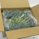 【500枚】オーラパック大袋9085規格品 ベルグリーンワイズ 00641700