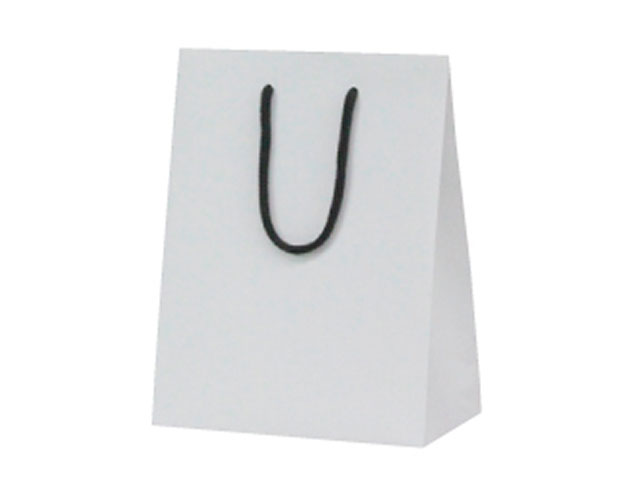 【50枚】1455 石からできた紙手提 S ベルベ 手提げ 紙袋 紙の袋 エコ プレゼント 贈り物 00244786 プロステ