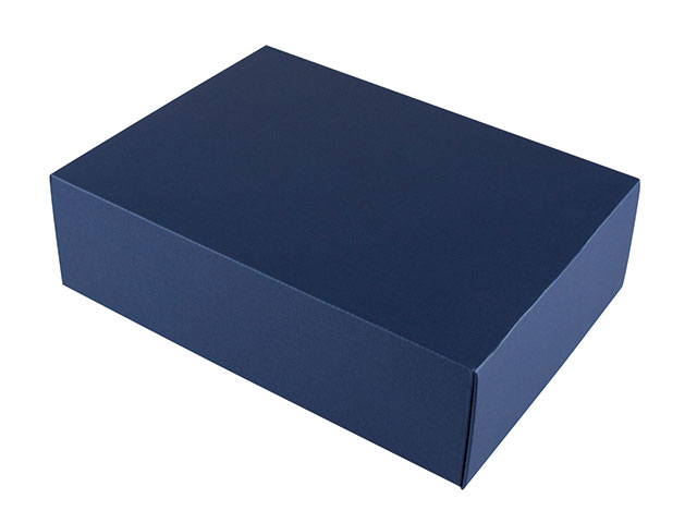 【50枚】SK-165 缶詰12個箱 ヤマニパッケージ 00252513 プロステ