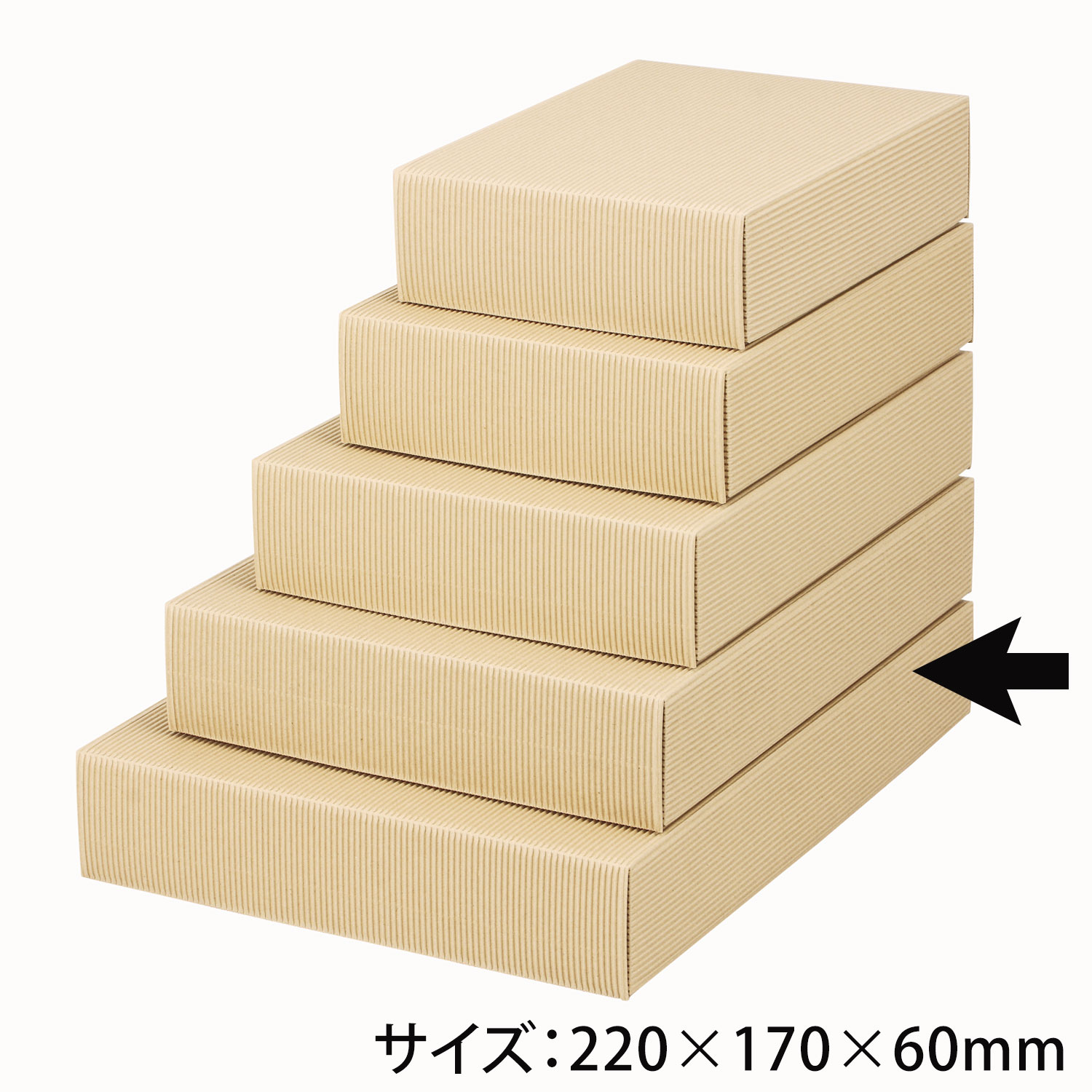 【50個】ナチュラル60特大 ヤマニ 00274179 プロステ