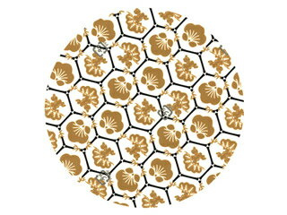 【50本】ラミケースOPP12F 黄金・亀甲柄...の紹介画像2