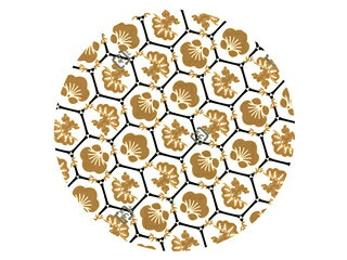【100本】ラミケースOPP 5A 黄金・亀甲...の紹介画像2