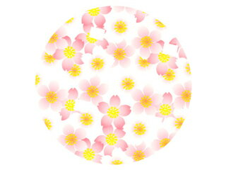 【50本】ラミケース OPP 8A 桜総柄 5...の紹介画像2