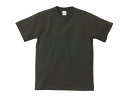 【1点】 5001綿Tシャツ 4L SUMI United Athle プロステ