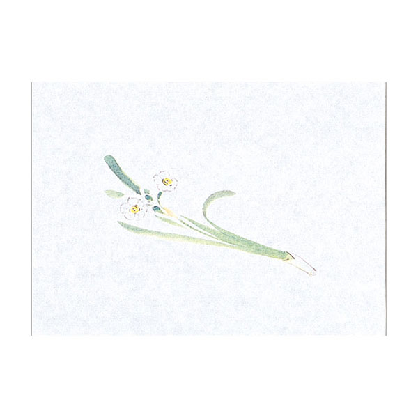 【50セット】M30-375 鮮度保持紙 (小) 水仙 100枚入 マイン 00383741 プロステ