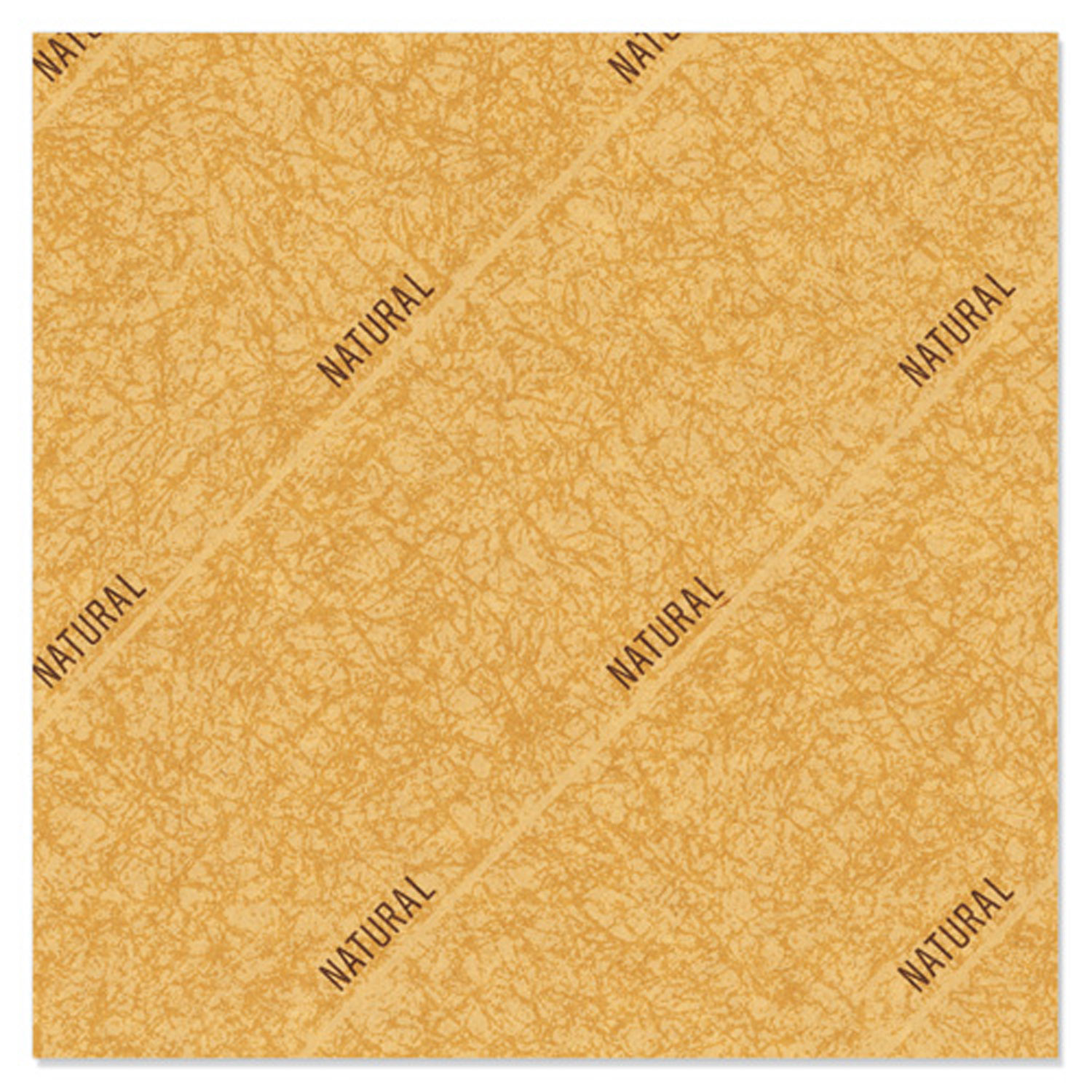 500 Cå ʥ C-3 ޥ륢  ץ쥼 ߻ 00703084 ץ