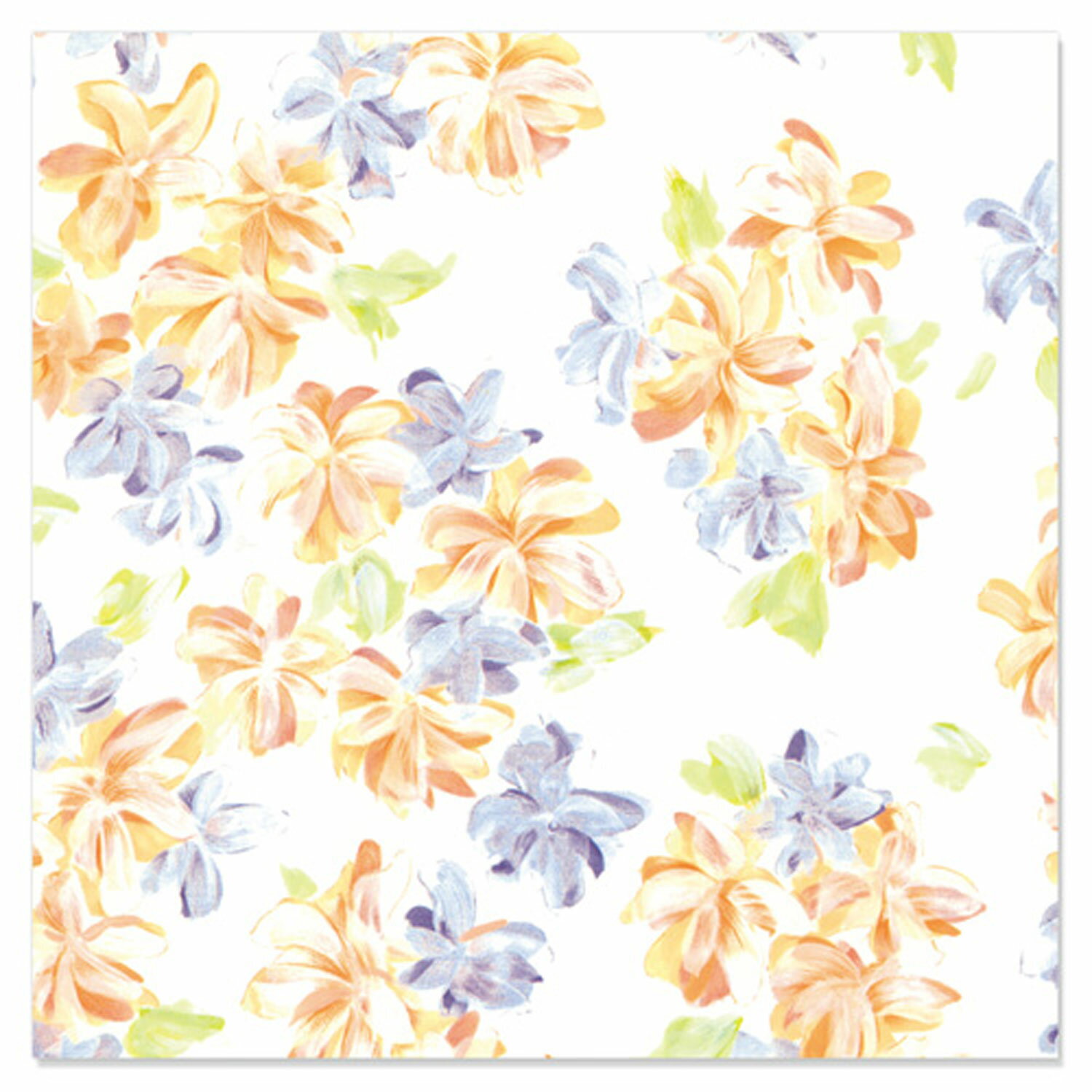 ��300��������� P��å� �ե롼�� ��Ƚ P-231 �ޥ륢�� ���� �ץ쥼��� ��߻� 00703277 �ץ�����