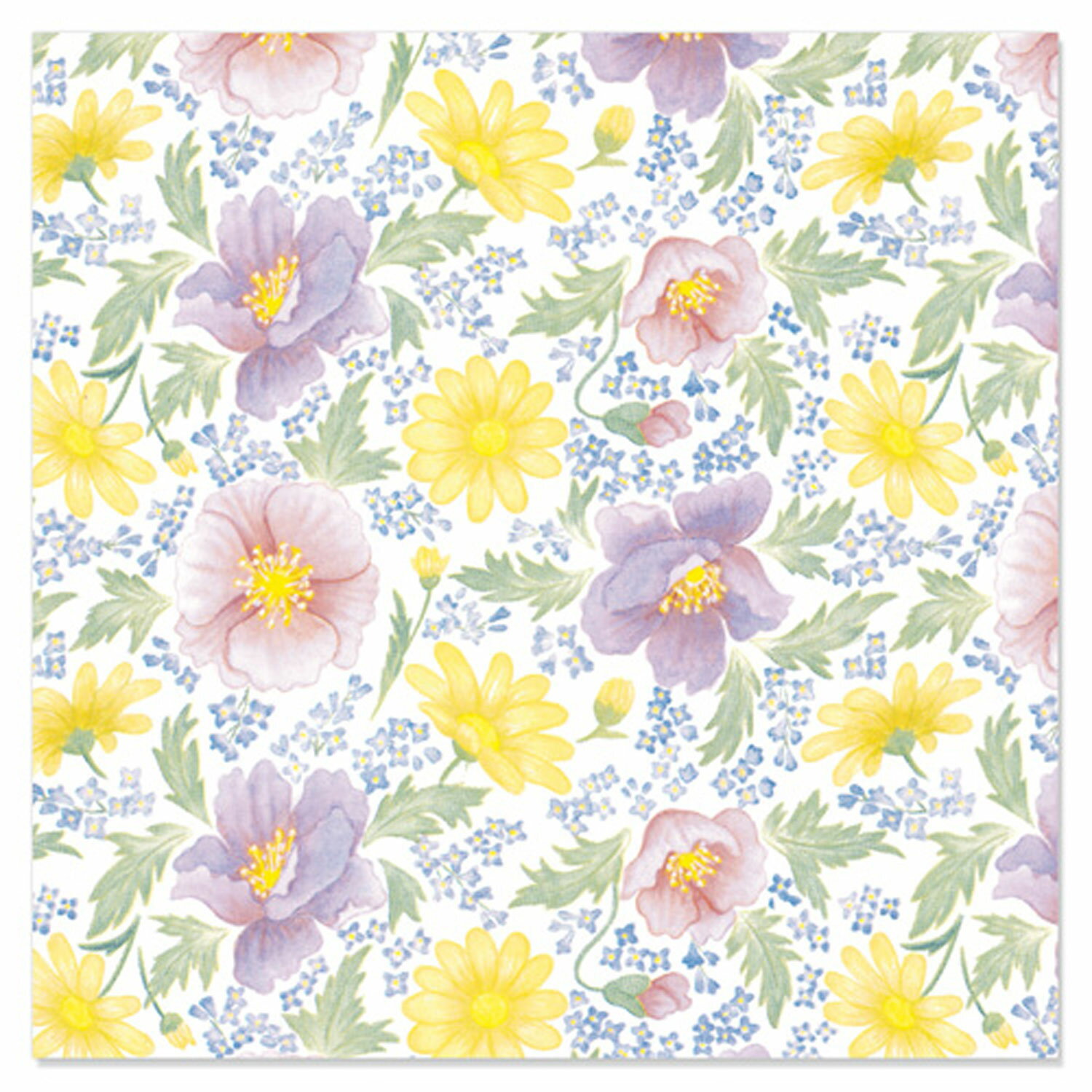 500 Qå ݥԡ Q-35 ޥ륢  ץ쥼 ߻ 00703287 ץ