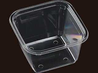 【50枚】 サラダ・フルーツ容器 エフピコ APベジBOX126-650 本体8mm穴 プロステ