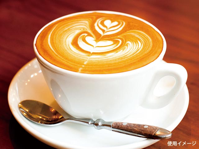 【1本】UK ラテ・アートピック21cm 00313741 プロステ