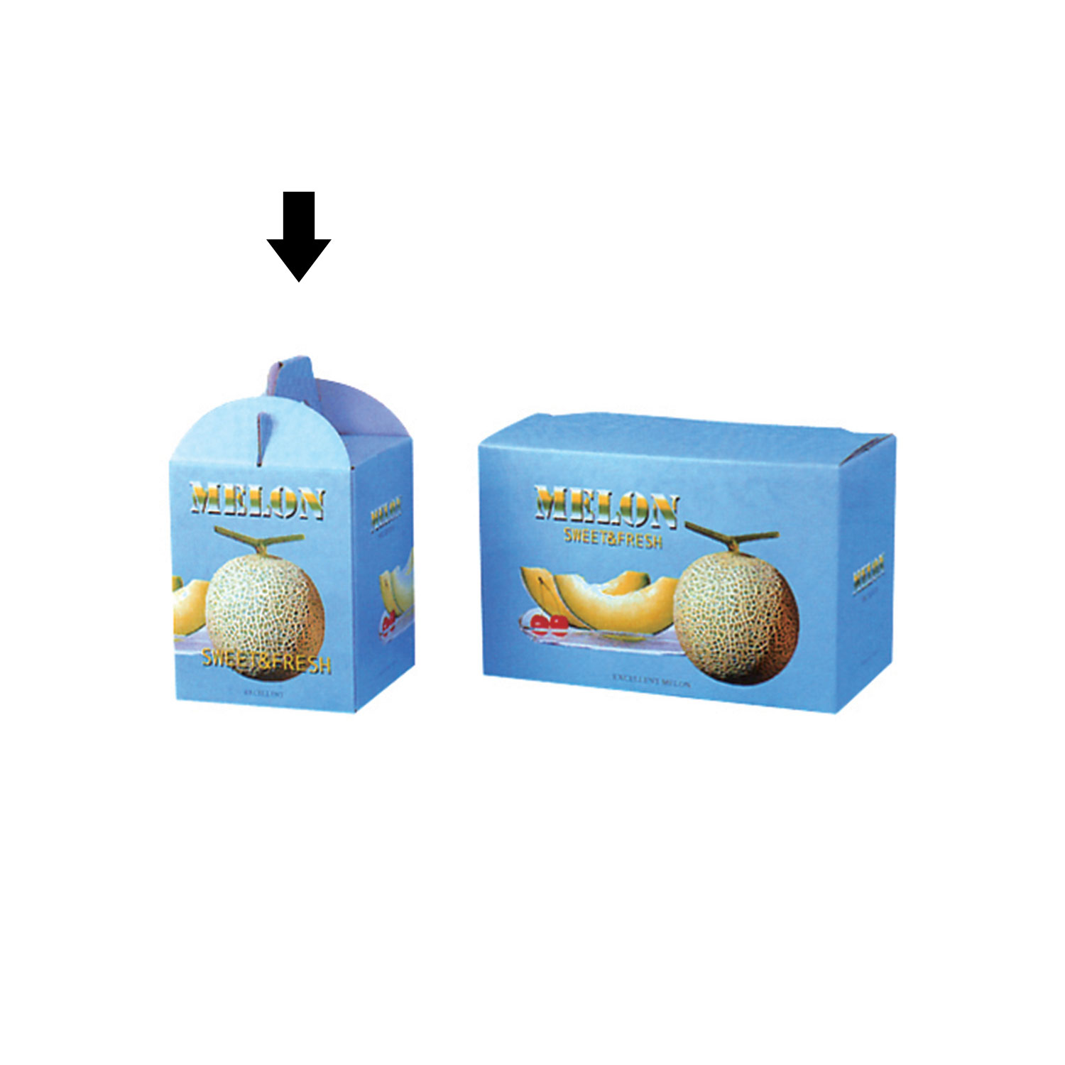 【100枚】紙箱 ビゲストメロン 1個用 00422714 プロステ