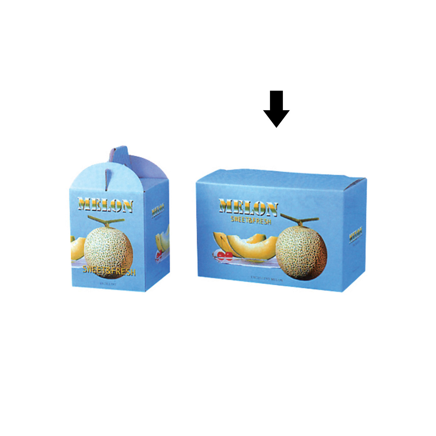 【50枚】紙箱 ビゲストメロン 2個用 00422715 プロステ