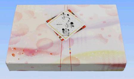 ��300���70-55ͣ�� ���ԡ�����ܥå������� �̸����� �ŽФ����� �Ž� ���� 00520846