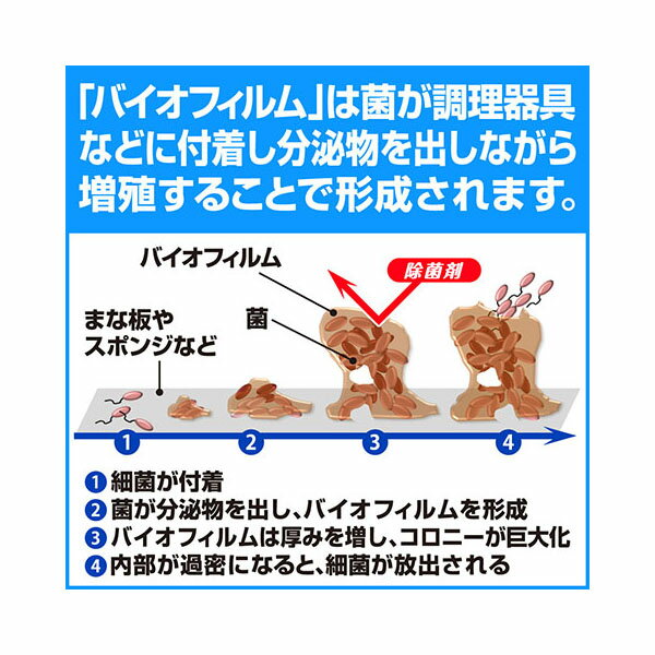 【2本】バイオガード 中性洗剤5L 花王 00529224 プロステ 3