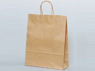 【200枚】自動手提袋 HZ 未晒無地 パックタケヤマ 手提げ 紙袋 紙の袋 エコ プレゼント 贈り物 00548379 プロステ