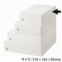 【50組】詰合せ1号 ヤマニ 00559709 プロステ