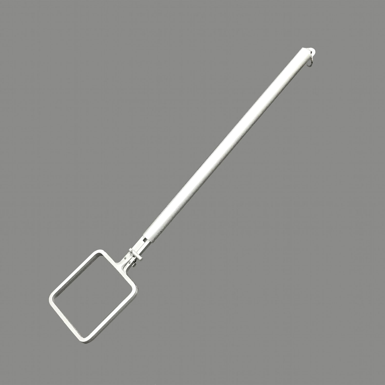 【1個】すくってポイ M 松岡紙業 00569814 プロステ