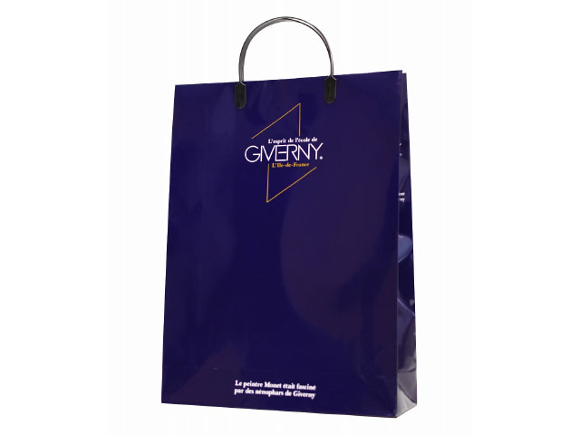 【120枚】紙手提袋 エスプリ コン マツシロ 手提げ 紙袋 紙の袋 エコ プレゼント 贈り物 00635726 プロステ