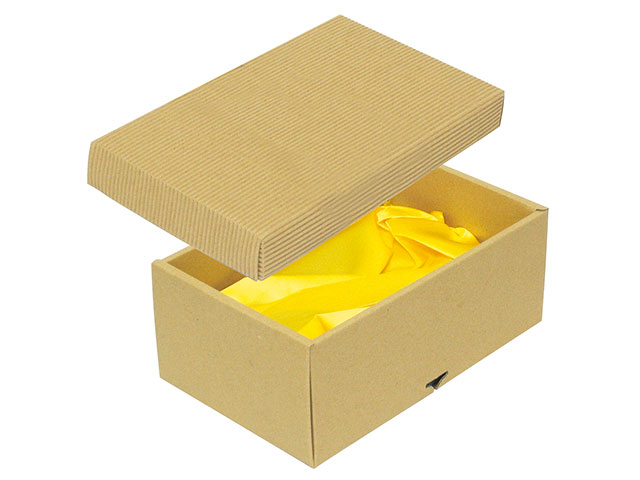 【100組】16-18BN ナチュラルBOX15号ヒモ無・布付 ヤマニパッケージ 00636078 プロステ