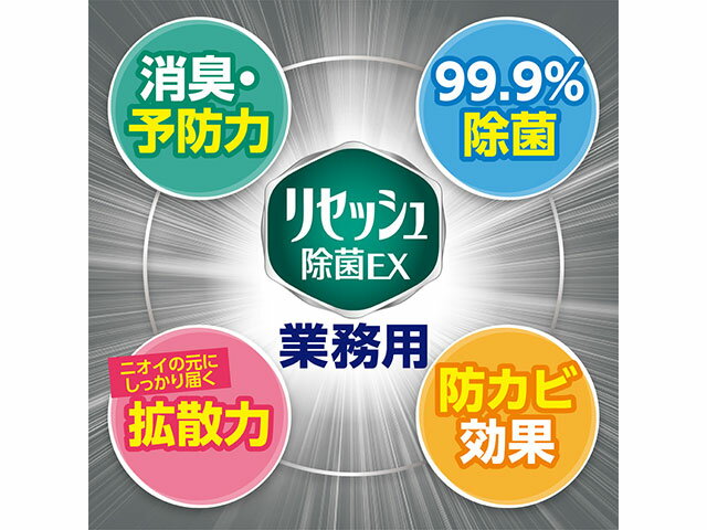 【1本】リセッシュ除菌EX デオドラントパワー 香り残らないタイプ 業務用10L 花王 00659591