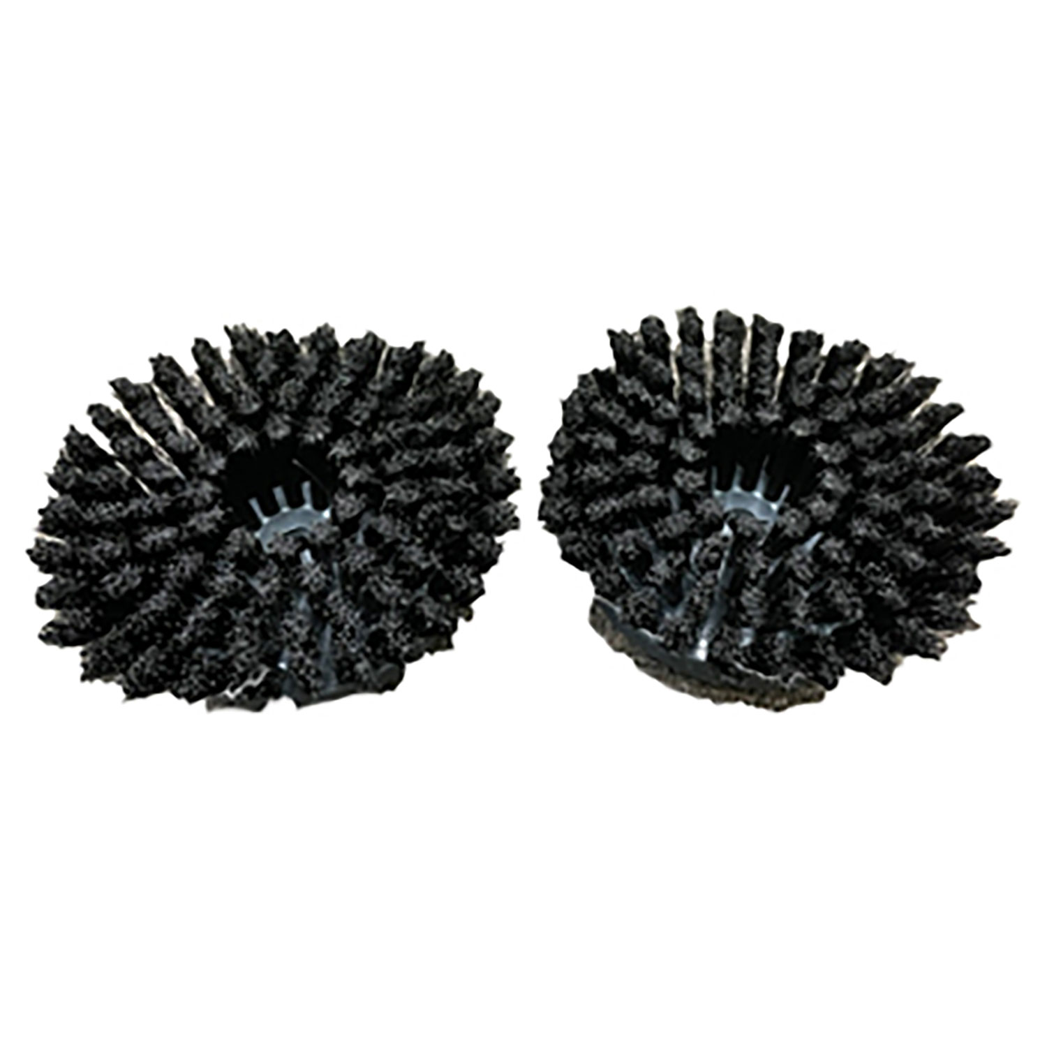 【1セット】i-scrub用 21B 黒ブラシ(2個入) くうかん 厨房 キッチン 機械 00672819 プロステ