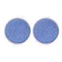 【1セット】i-scrub用 21B アイクロアイクロ青パッド(2個入) くうかん 厨房 キッチン 機械 00672848 プロステ
