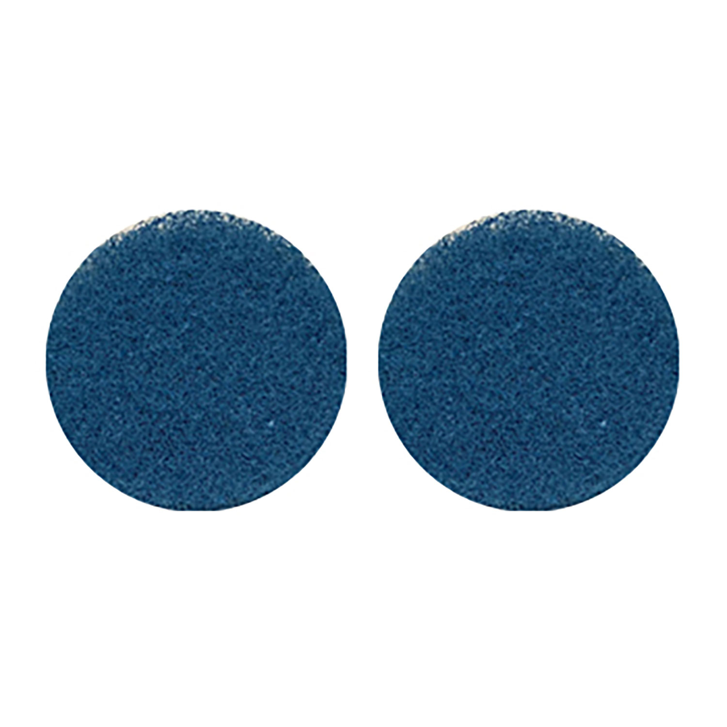 【1セット】i-scrub用 21B 青パッド(10個入) くうかん 厨房 キッチン 機械 00672853 プロステ