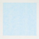 【1200枚】風呂敷 パステルカラー ブルー 75×75cm 00320475 プロステ