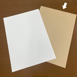 【500箱】紙ファイル エコファイル クラフト 日本紙パルプ商事 00401016 プロステ