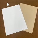 【500箱】紙ファイル エコファイル ホワイト 日本紙パルプ商事 00401024 プロステ
