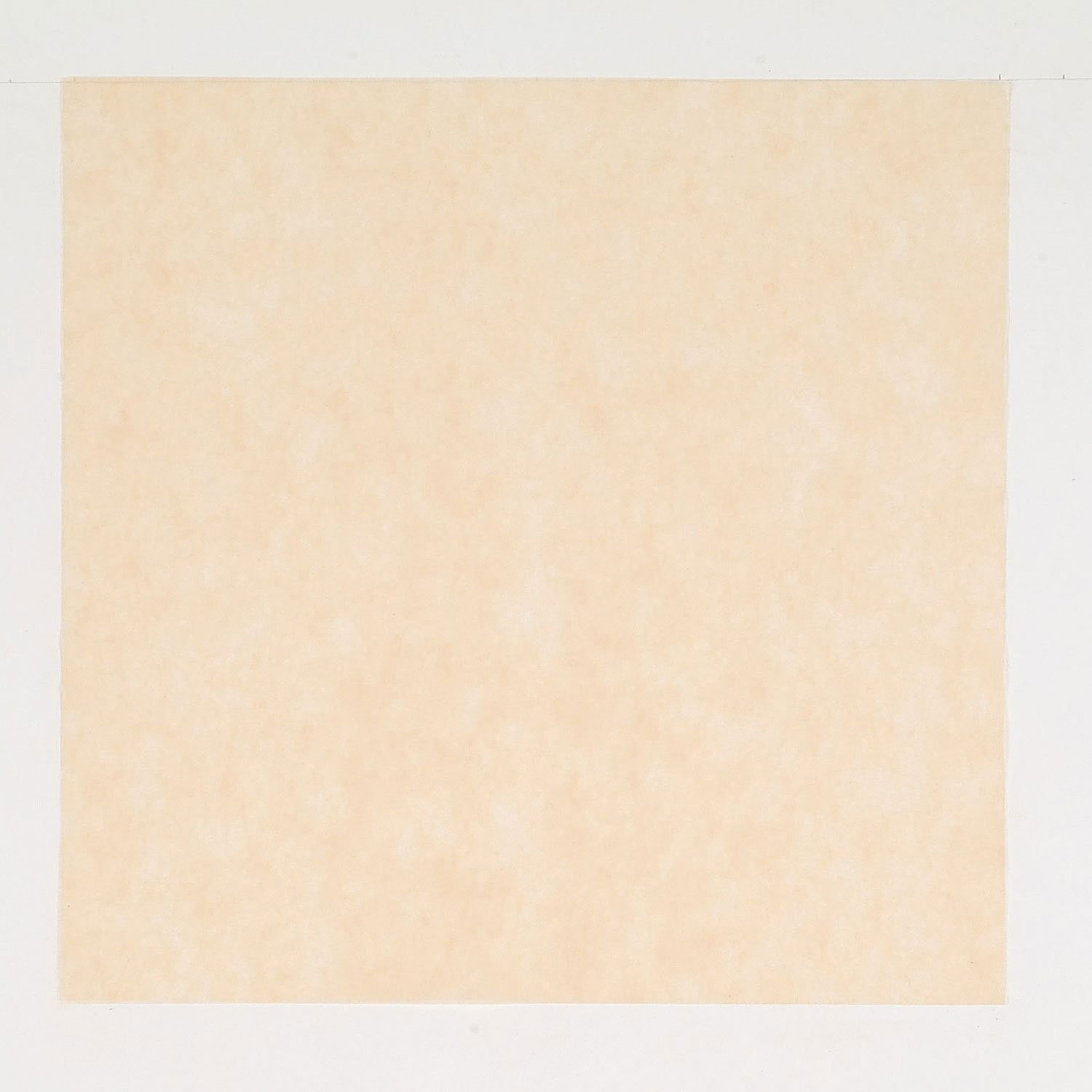 【1200枚】風呂敷 パステルカラー ベージュ 75×75cm 00685019 プロステ
