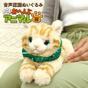 【6個】ぬいぐるみ玩具 アーテック よんで!だっこして!おへんじアニマル 猫 00448155 プロステ(3)