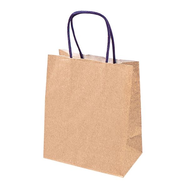 【200個】石渡 手提げ袋 ジ・アース S 00465179 プロステ