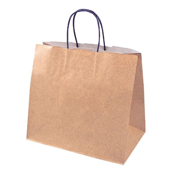 【200個】石渡 手提げ袋 ジ・アース M 00465180 プロステ