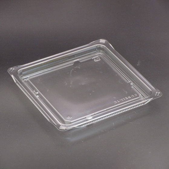 50ۥХå 塼13-TC 00645868