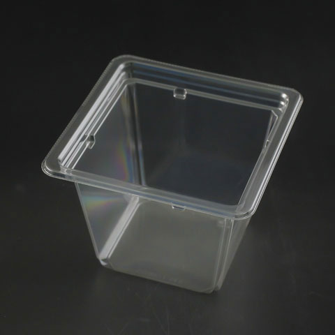 50ۥƴ Хå 塼13-94B(E) ꥹѥå 00687553