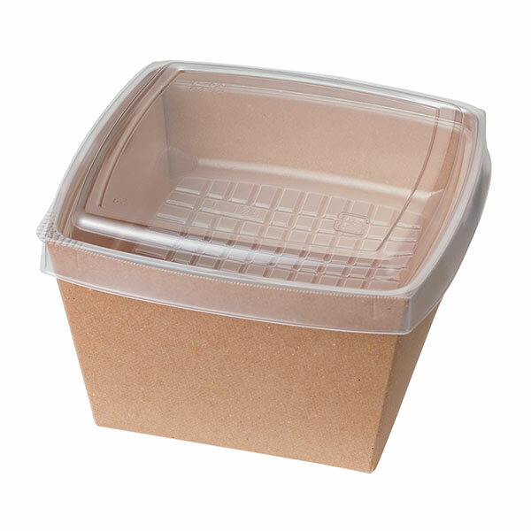 ��300�ȡ۶��¥ѥå� �����ƴ� �ǥ�ᥤ��TS125����ե��ȹ��ƴ� 00710043 �ץ�����