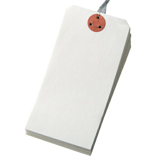 【100袋】今村紙工 梱包資材 耐水紙 針金荷札 2号 大 100枚入 00740706 プロステ