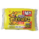【48個】アイリスオーヤマ 寒さ対策用品 IRIS 264592 ぽかぽか家族 貼るミニ 10P 00462344 プロステ