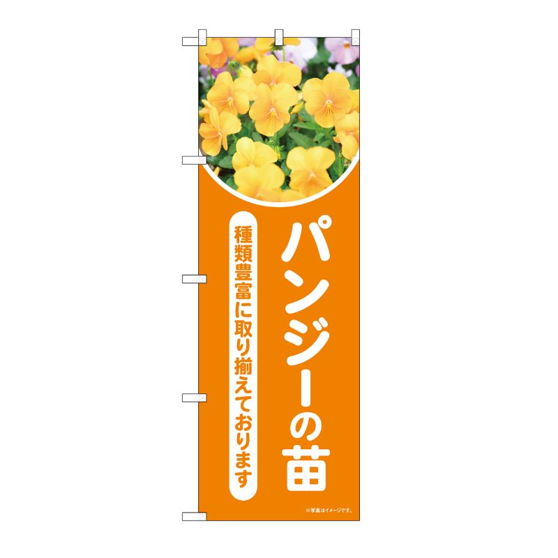 【1枚】P・O・Pプロダクツ [N] のぼり パンジーの苗 オレンジ 写真 OTM No.84234 00727965 プロステ
