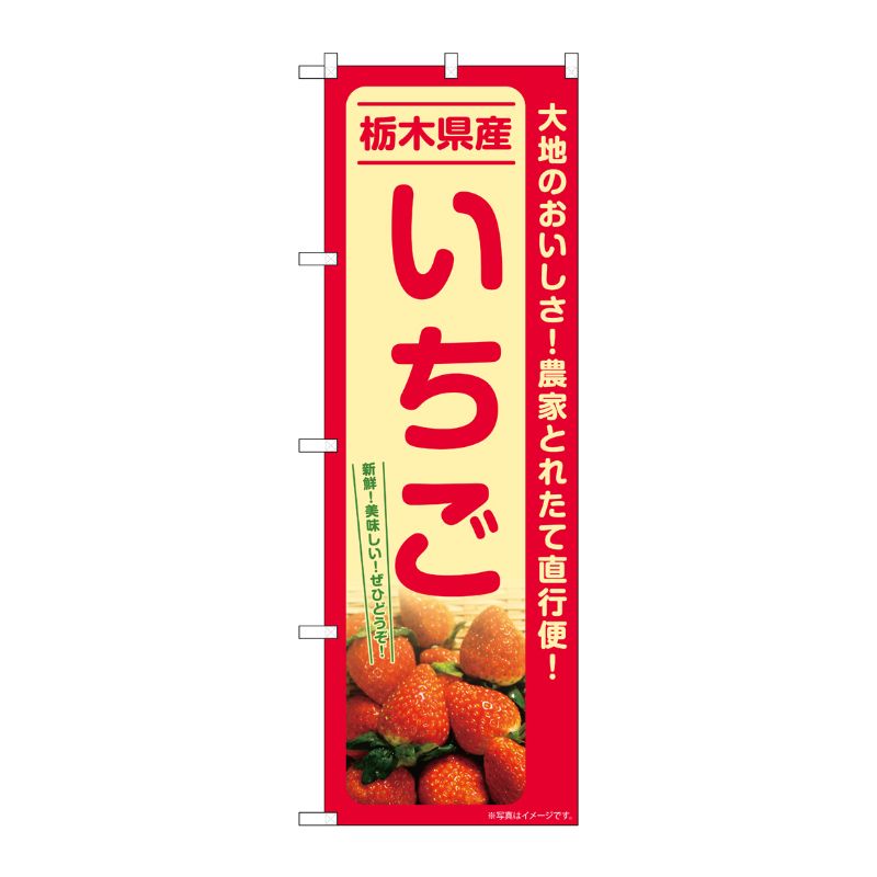 【1枚】P・O・Pプロダクツ [G] のぼり いちご 栃木県産 SNB-7210 00728869 プロステ