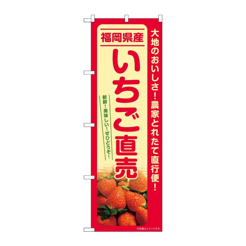 Rakuten - 【1枚】P・O・Pプロダクツ [G] のぼり いちご直売 福岡県産 SNB-7214 00728873 プロステ